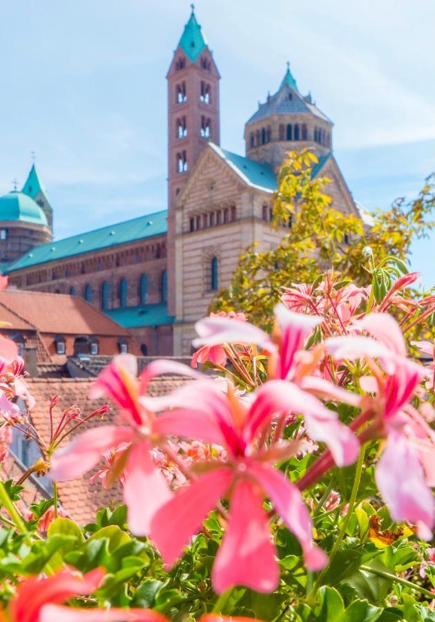 Hotel Domhof ชไปยา ภายนอก รูปภาพ